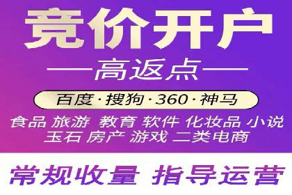 某电商平台的SEM推广策略全解析